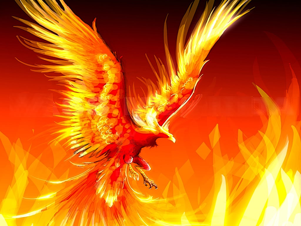 The-Fire-Phoenix.jpg